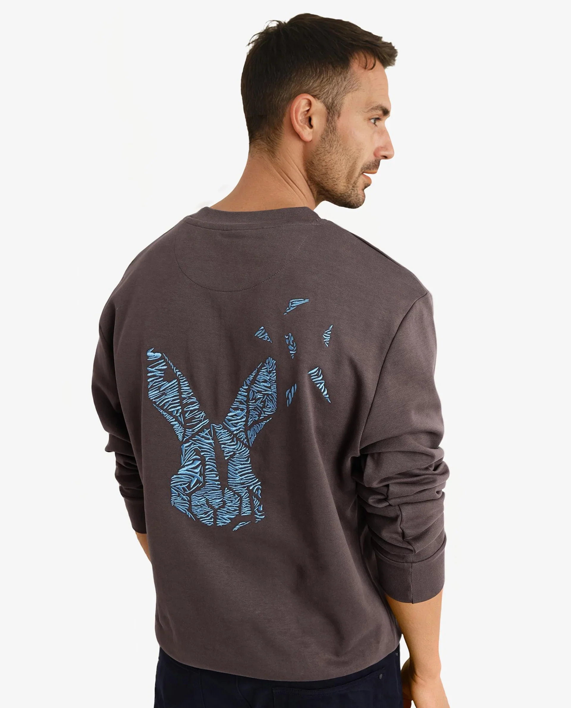 Rare Rabbit Men's Bay Dark Grey Cotton Graphic Print Regular Fit Full Sleeve Crew Neck Sweatshirt