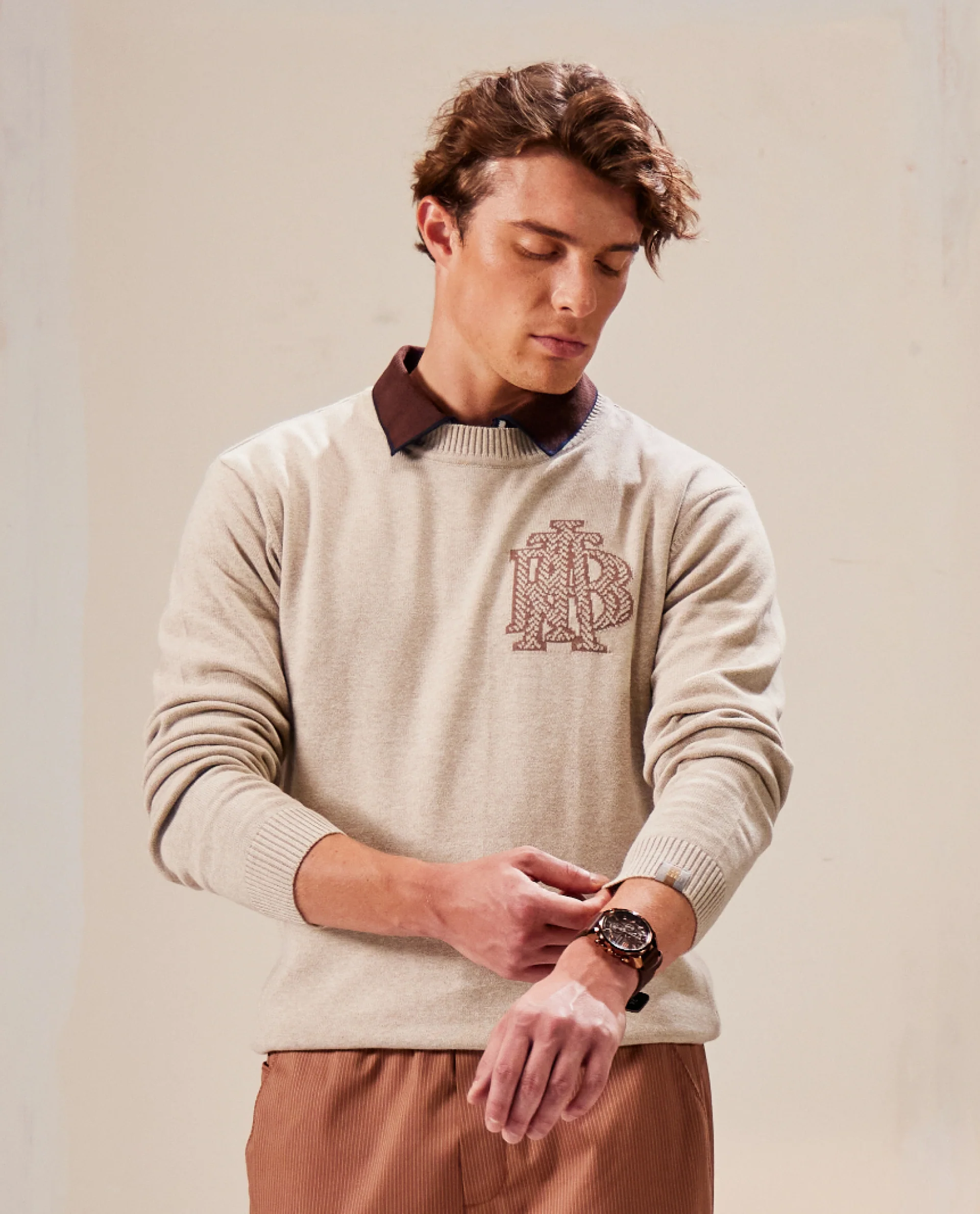 Rare Rabbit Men's Destin Beige Cotton Jacquard Regular Fit Full Sleeve Crew Neck Sweater