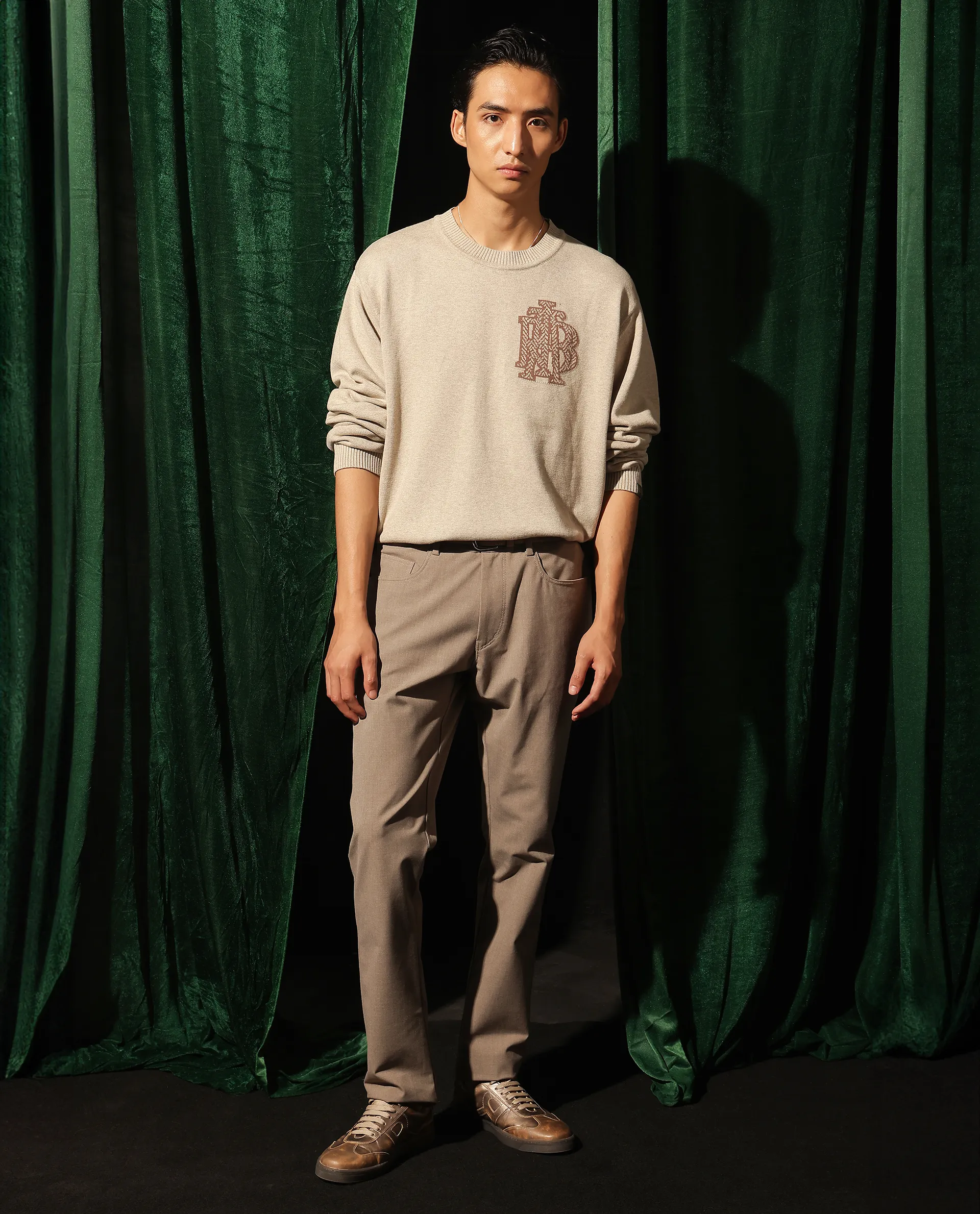 Rare Rabbit Men's Destin Beige Cotton Jacquard Regular Fit Full Sleeve Crew Neck Sweater - Image 4