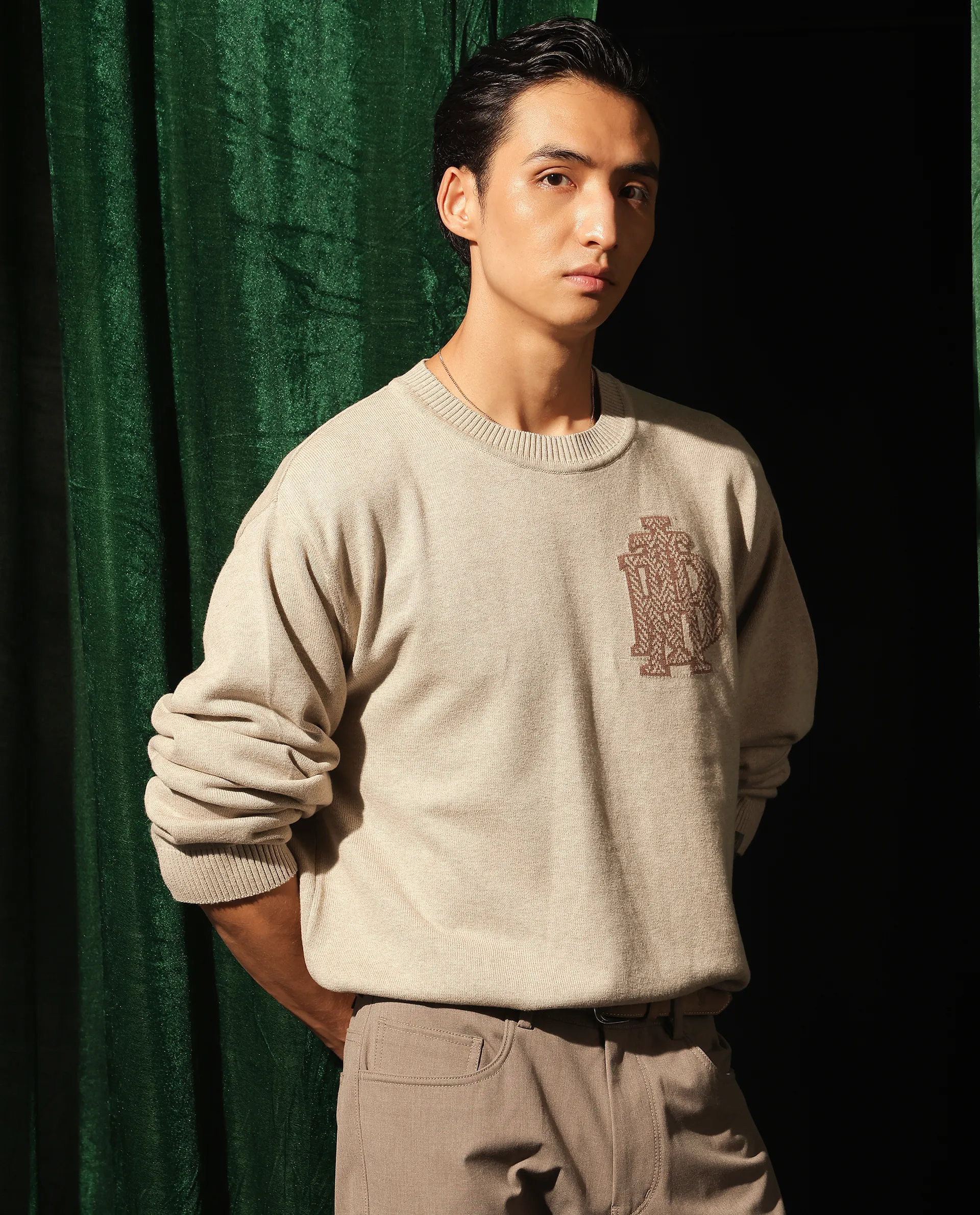 Rare Rabbit Men's Destin Beige Cotton Jacquard Regular Fit Full Sleeve Crew Neck Sweater - Image 8
