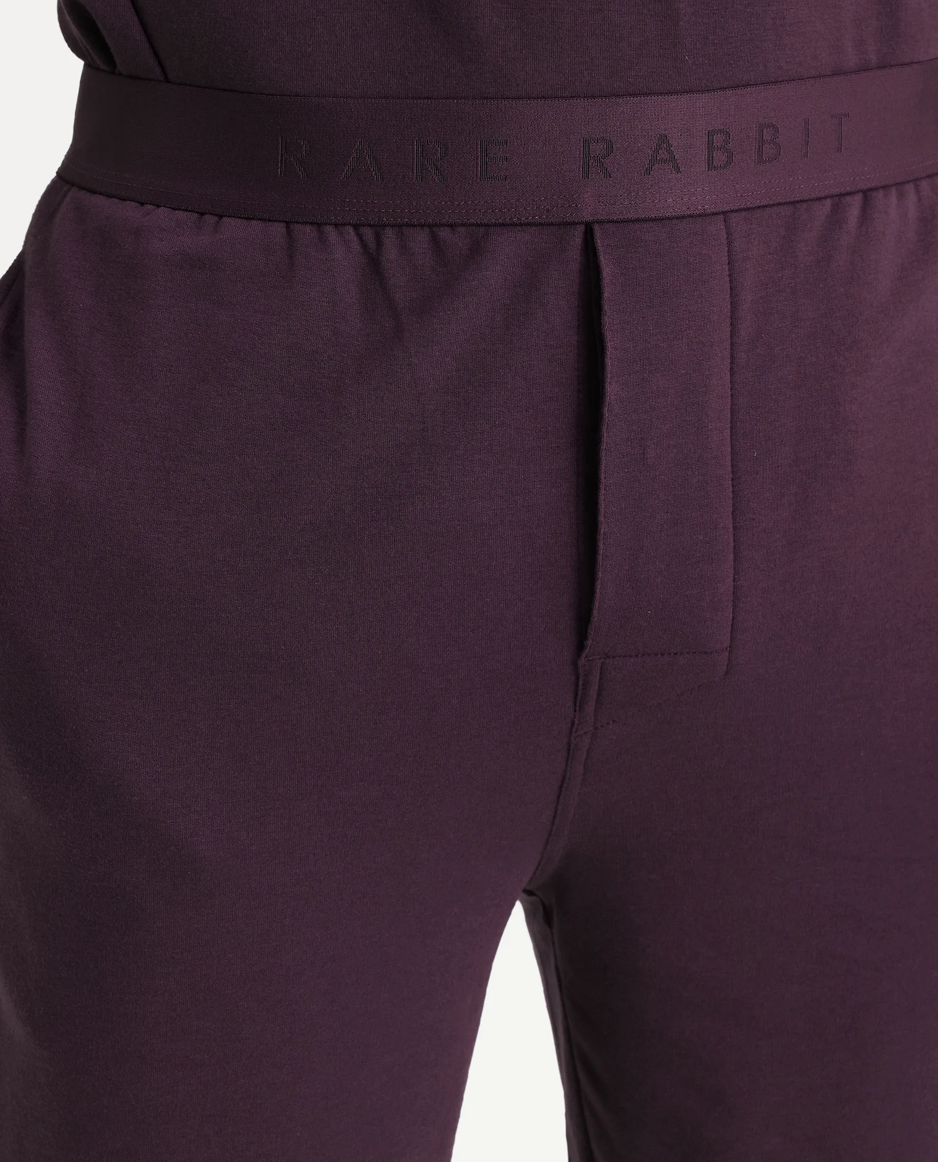 Rare Rabbit Men's Pont Maroon Cotton Blend Fabric Relaxed Fit Plain Stretchable Shorts - Image 2