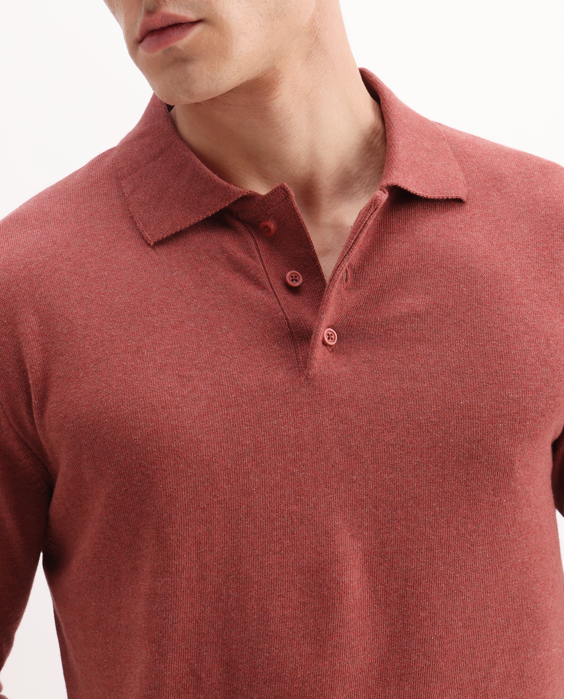Rare Rabbit Men's Pyer-25 Rust Cotton Blend Fabric Collared Neck Regular Fit Plain Polo - Image 3