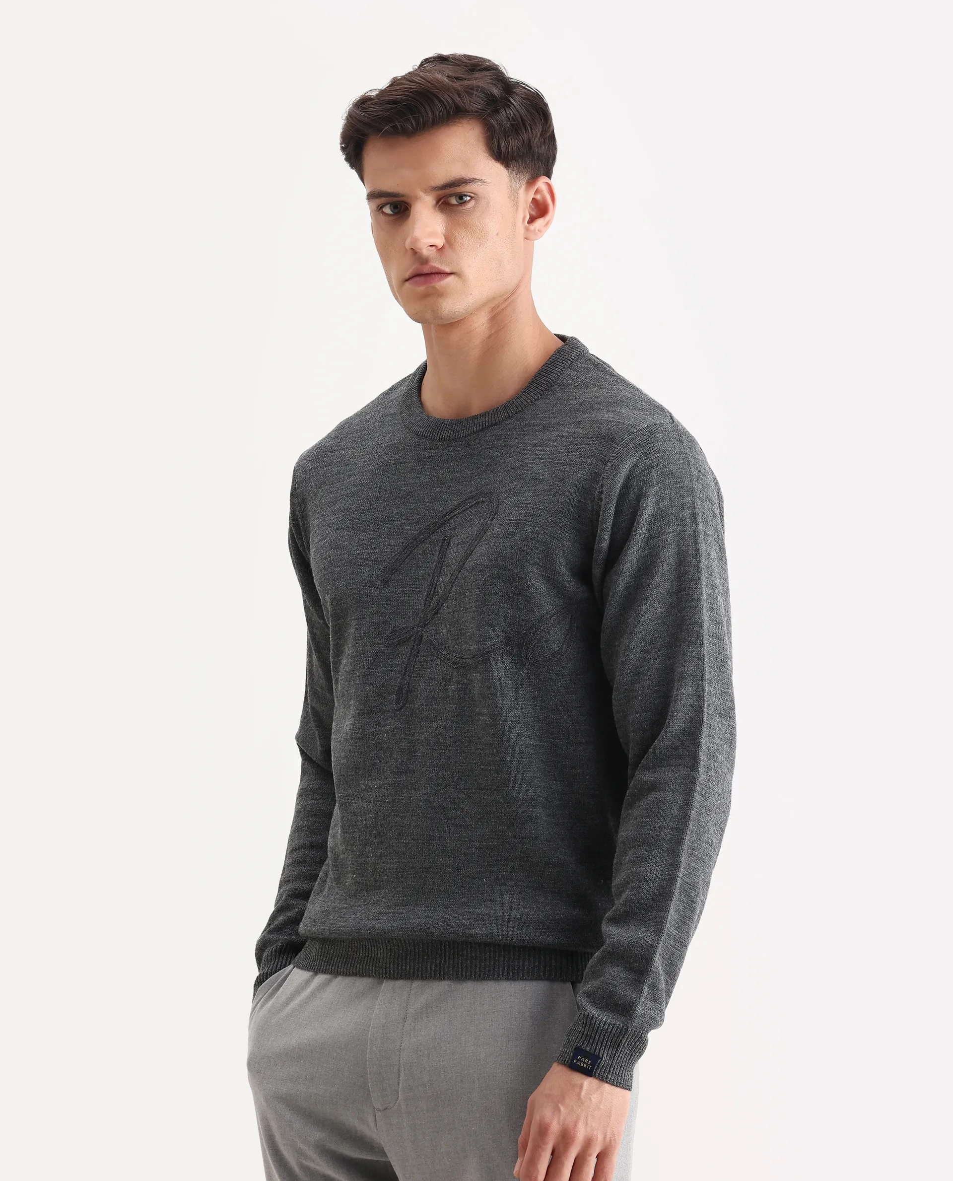 Rare Rabbit Men's Saturno Dusky Grey Acrylic Embroidered Regular Fit Full Sleeve Crew Neck Sweater - Image 5