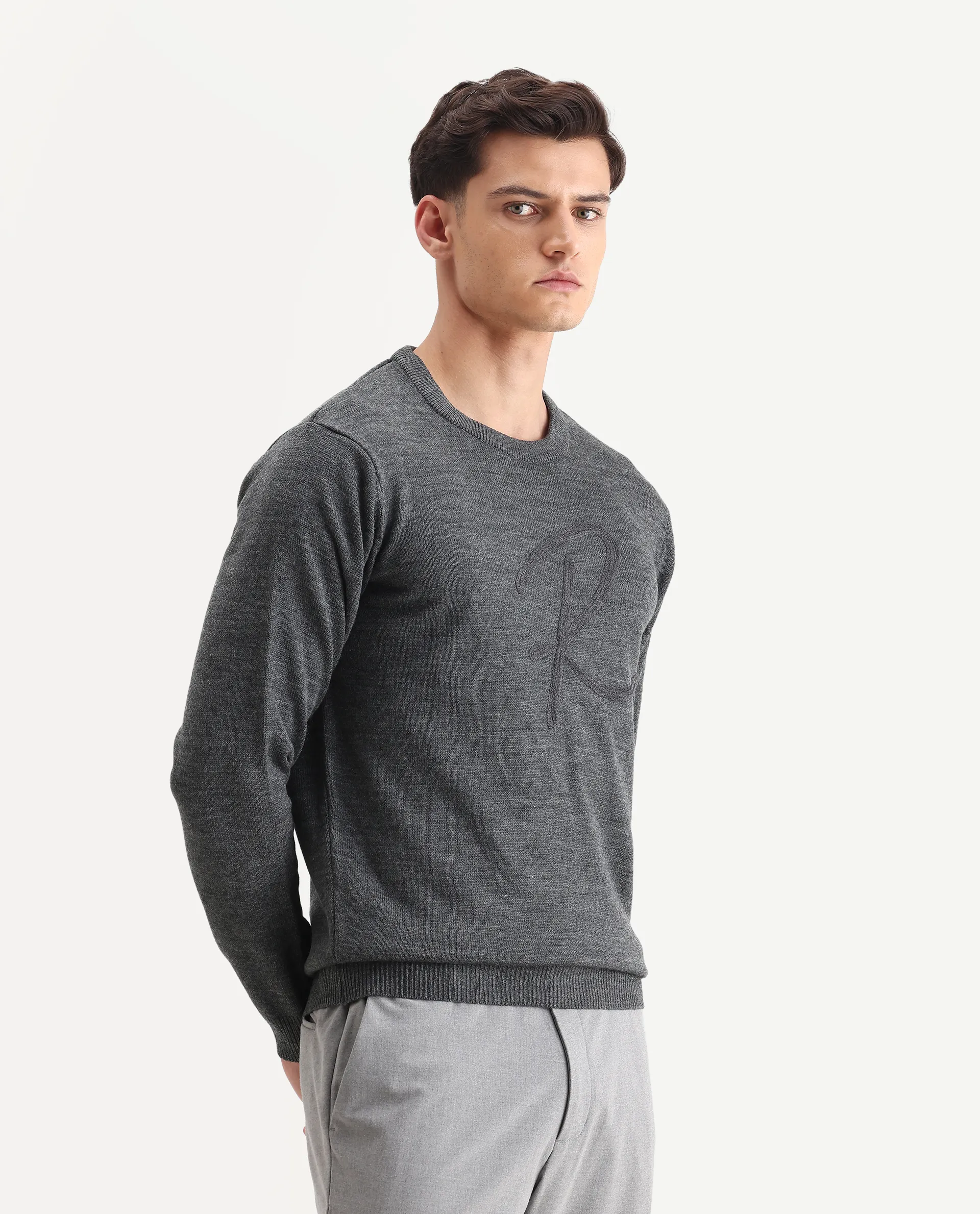 Rare Rabbit Men's Saturno Dusky Grey Acrylic Embroidered Regular Fit Full Sleeve Crew Neck Sweater - Image 6