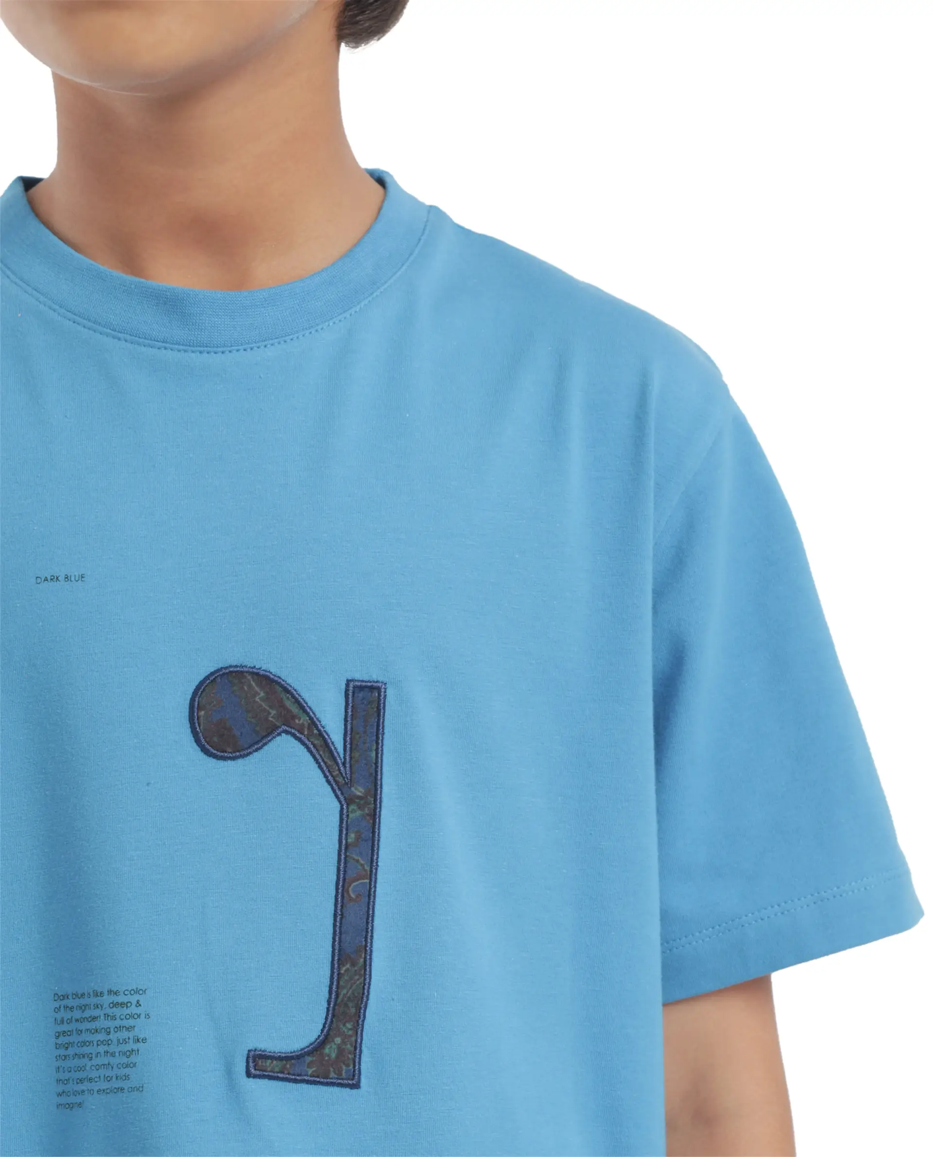 Rare Ones Kids Vel Blue Cotton Half Sleeves Crew Neck Embroidered Print T-Shirt - Image 5