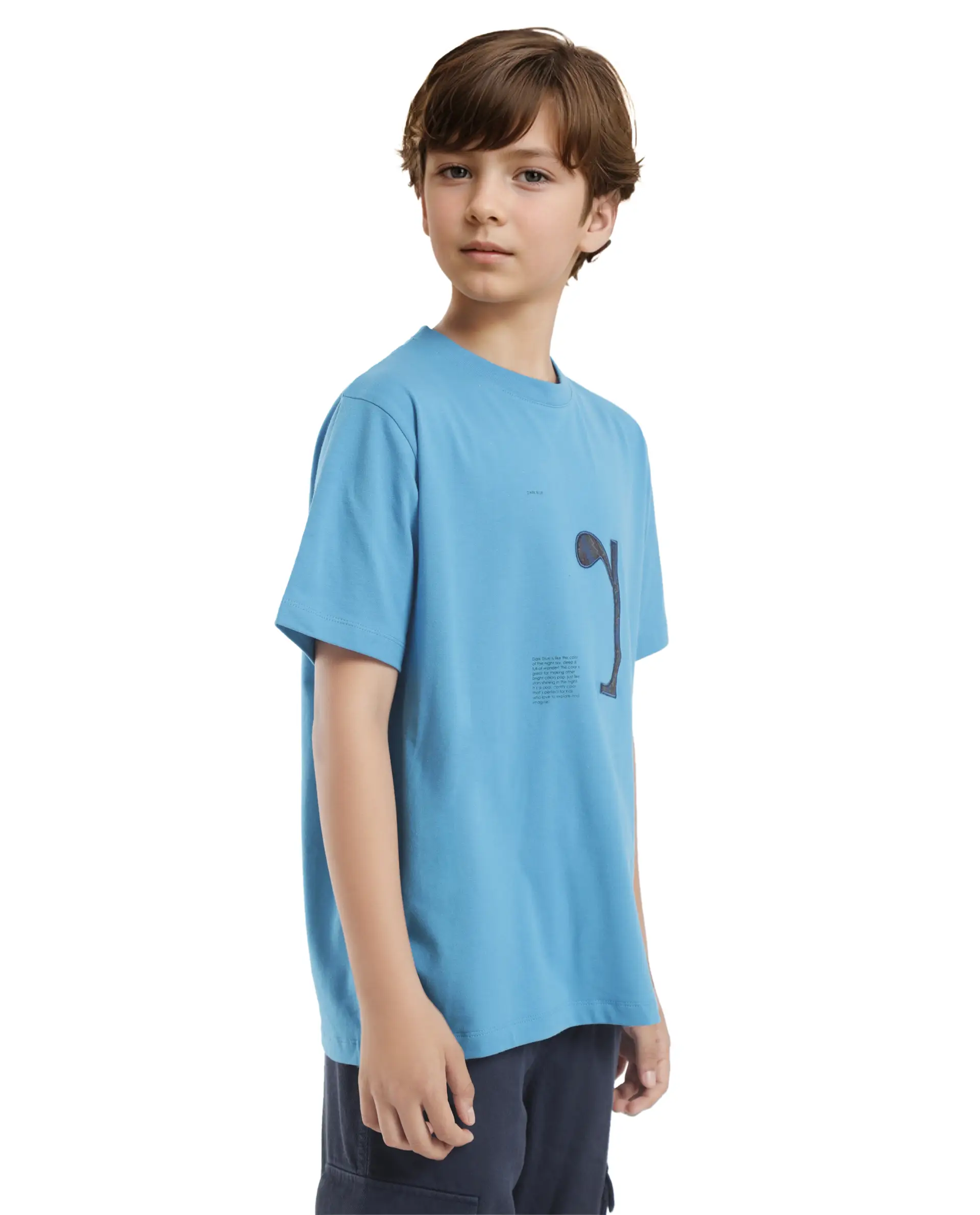 Rare Ones Kids Vel Blue Cotton Half Sleeves Crew Neck Embroidered Print T-Shirt - Image 8